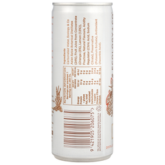 Asian Spice with Citrus Soda - Case (24 Cans)