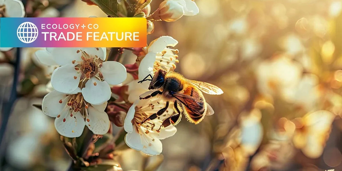 Manuka Honey. What’s all the buzz about?