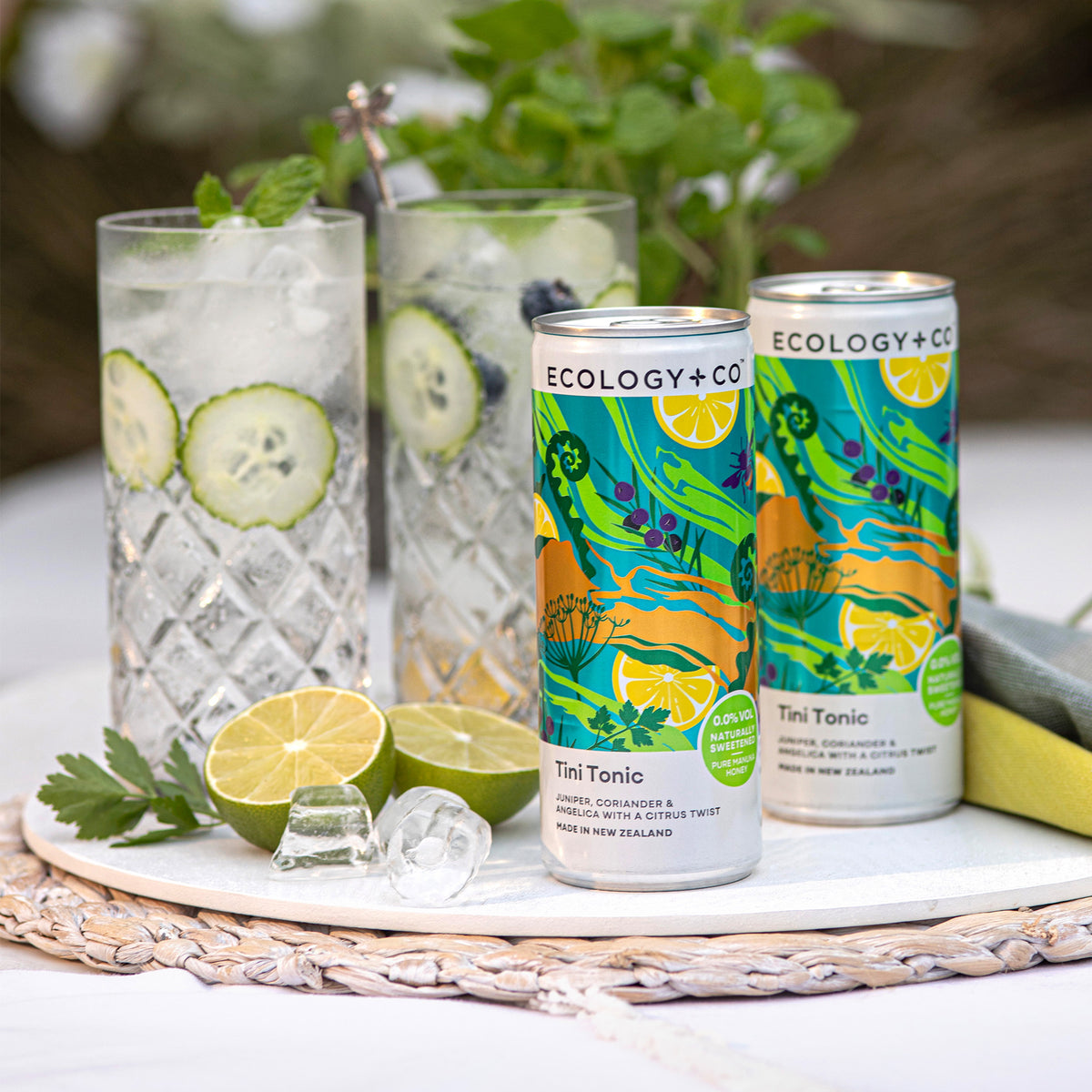 Ecology & Co Tini Tonic ready-to-drink cans on garden table